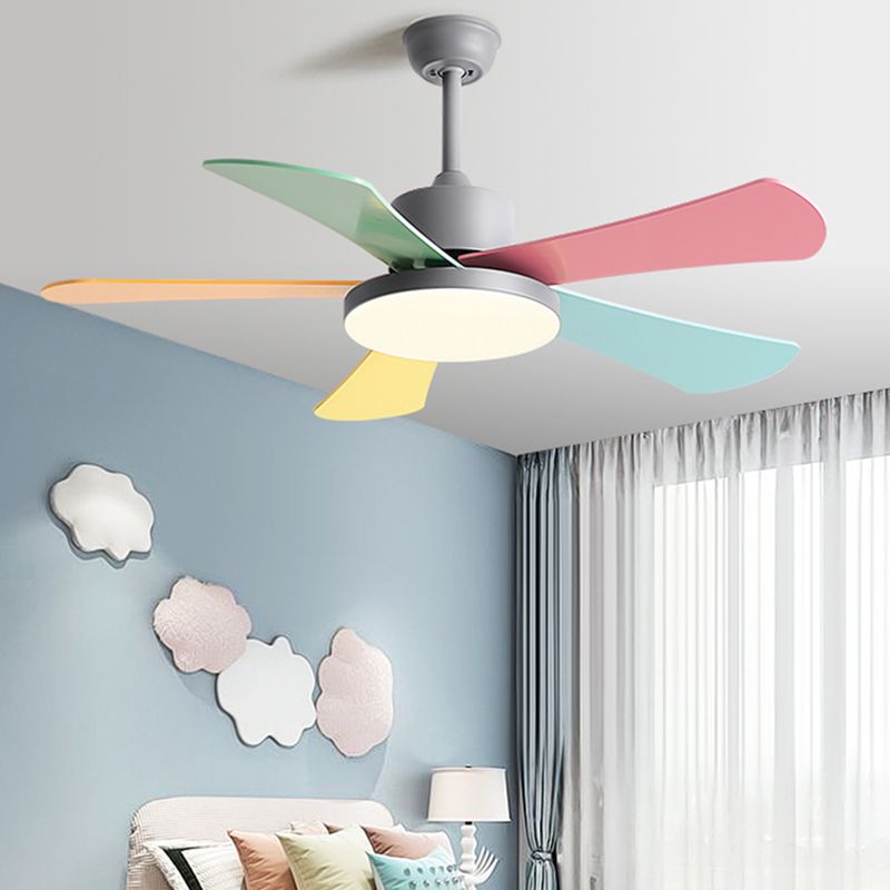 Metal Ceiling Fan Light Modern Style 1 Light Ceiling Fan Lamp for Bedroom