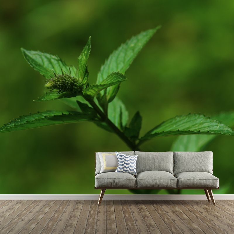 Green Mint Wall Covering for Living Room Moisture Resistant, Made to Measure