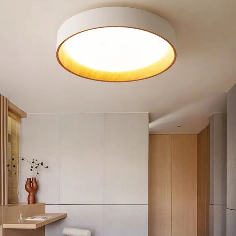 White Modernism Ceiling Light LED Flush Mount Lighting for Home Hallway