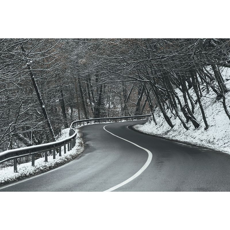 Modern Style Wall Mural Wallpaper Outdoor Path Bedroom Wall Mural