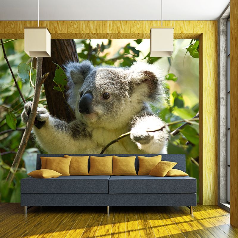 Koala Animals Mural Wallpaper Water Resistant Wall Decor for Living Room