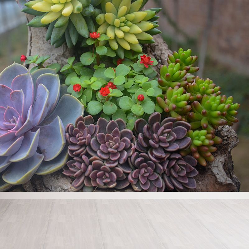 Modern Green Plant Wall Mural with Succulent Potted Plants Pattern for Bar Decoration