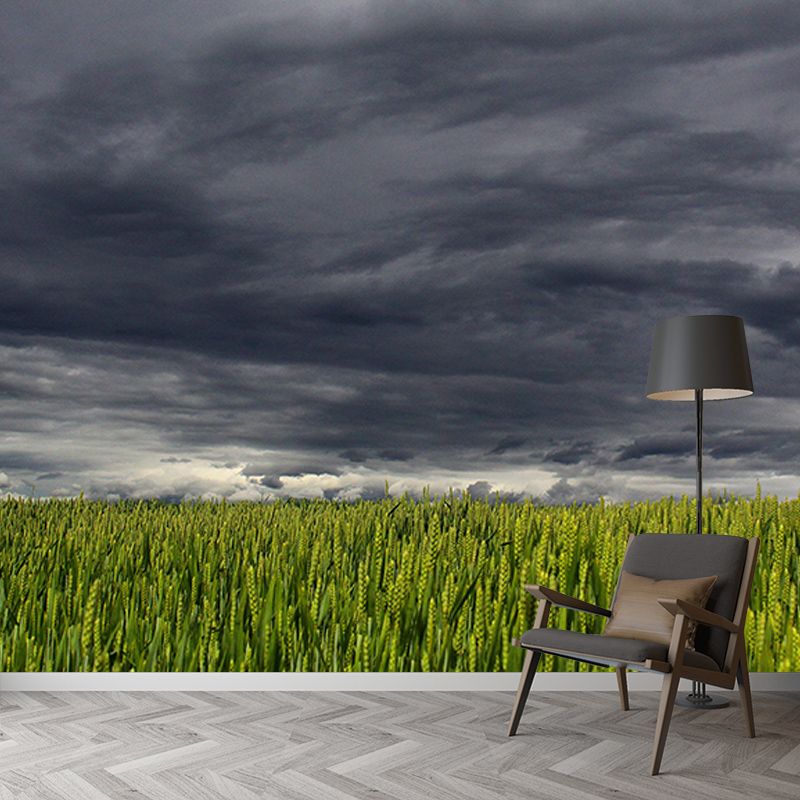 Wheat Field Modern Photography Mural Wallpaper Indoor Wall Mural