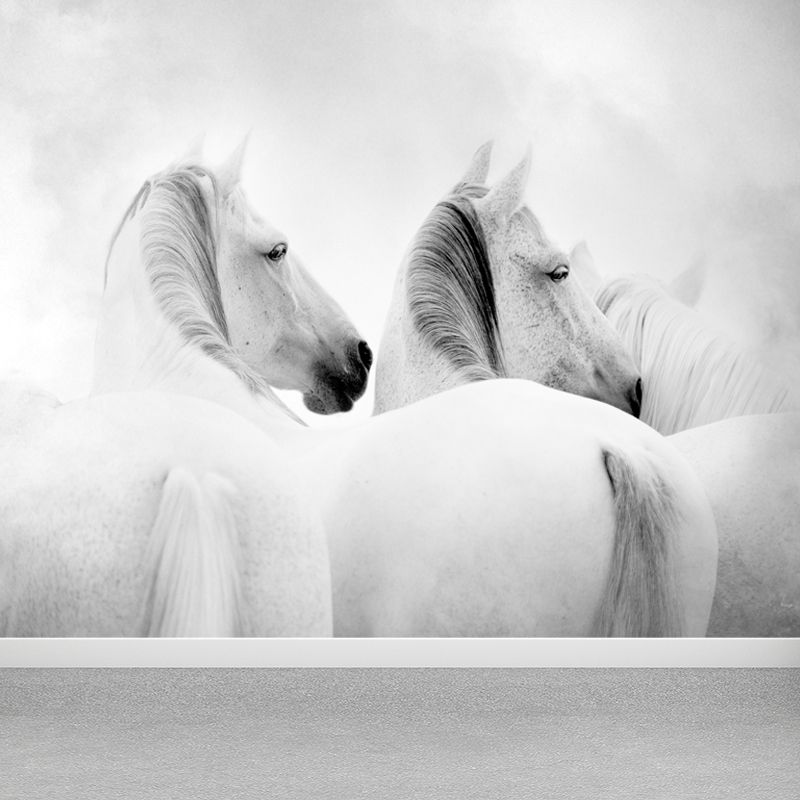 Big White Horse Print Mural Wallpaper Decorative Contemporary Living Room Wall Art