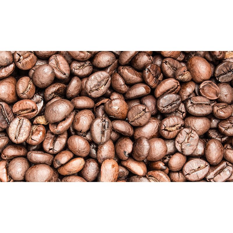 Mural de granos de café Color suave resistente al moho contemporáneo para cafetería