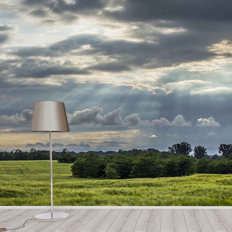 Mildew Resistant Wall Mural Wallpaper Sky Landscapes Pattern for Wall Decor