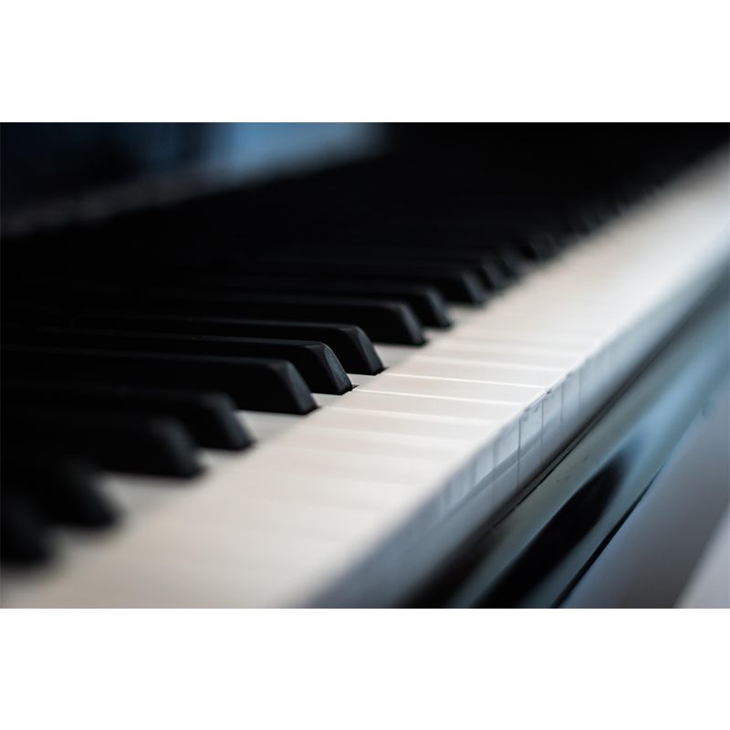 Hobby Piano Mural Wallpaper Contemporary Mildew Resistant Wall Covering for Home Decor