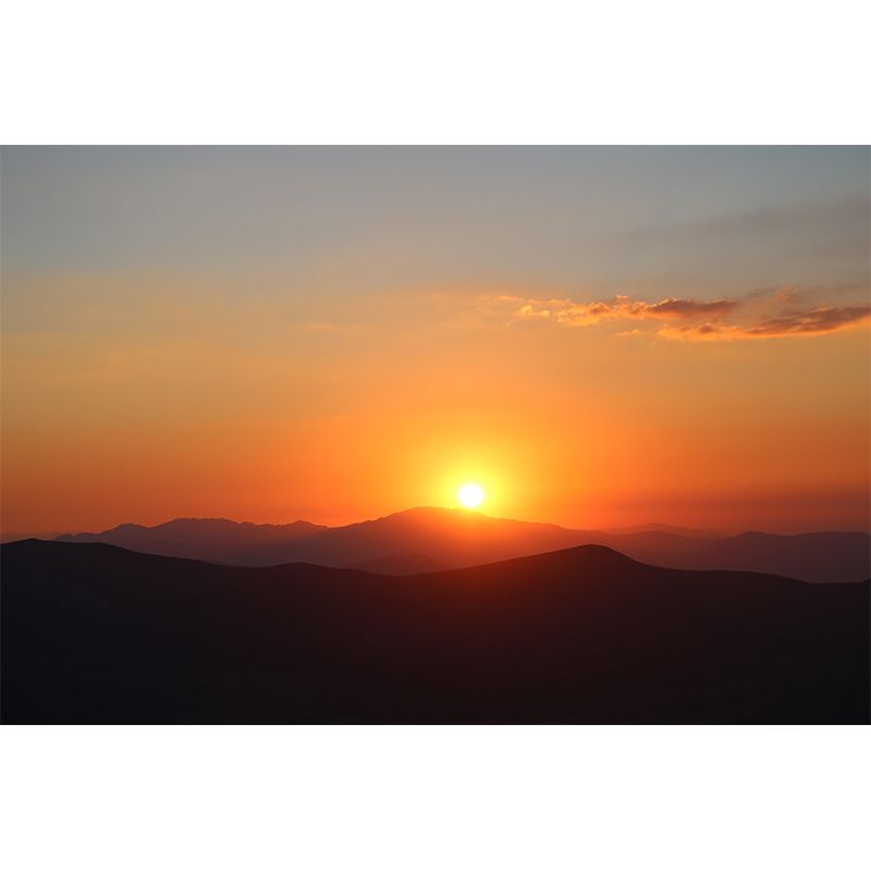 Contemporary Sky Wall Mural Mildew Resistant Wallpaper for Sitting Room