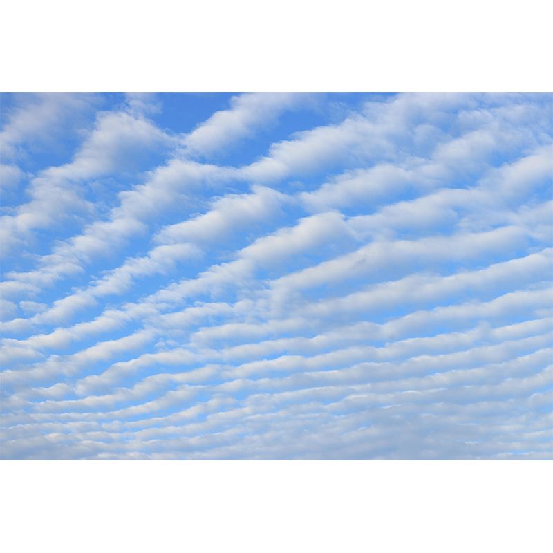 Cloud Sky Scene Sky Wall Mural Wallpaper Photography Mildew Resistant for Wall Decor
