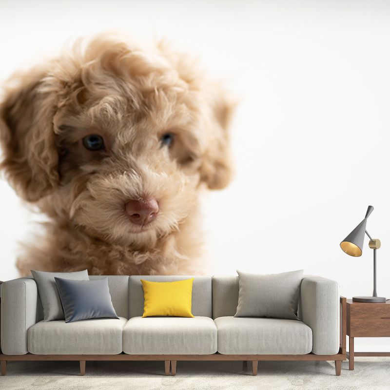 Washable Stain Resistant Mural Wallpaper Lovely Dogs Indoor Wall Mural