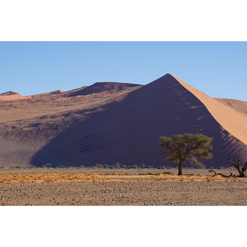 Soft Color Desert Mural Decal Nature Scenery Modern Mildew Resistant Wall Art