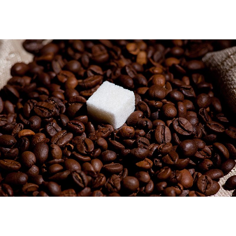 Coffee Beans Mural Contemporary Style Wall Decor for Coffee Shop, Water Resistant