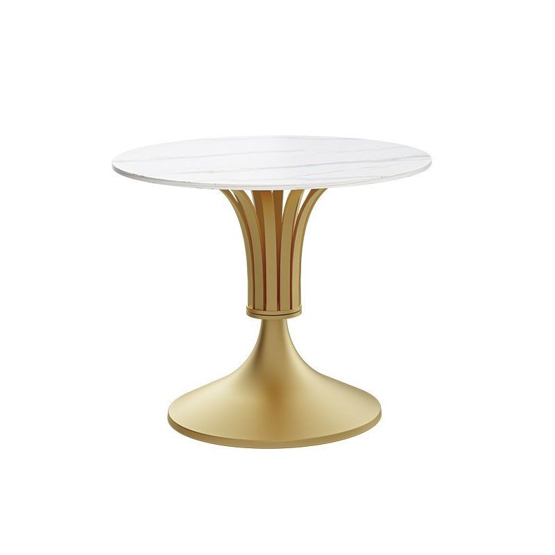 Modern Style Round Dining Table Sintered Stone Table with Pedestal Base