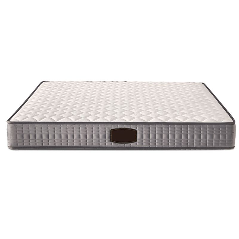 Modern Bed Frame Mattress Included Standard Bed with Custom Gold Legs