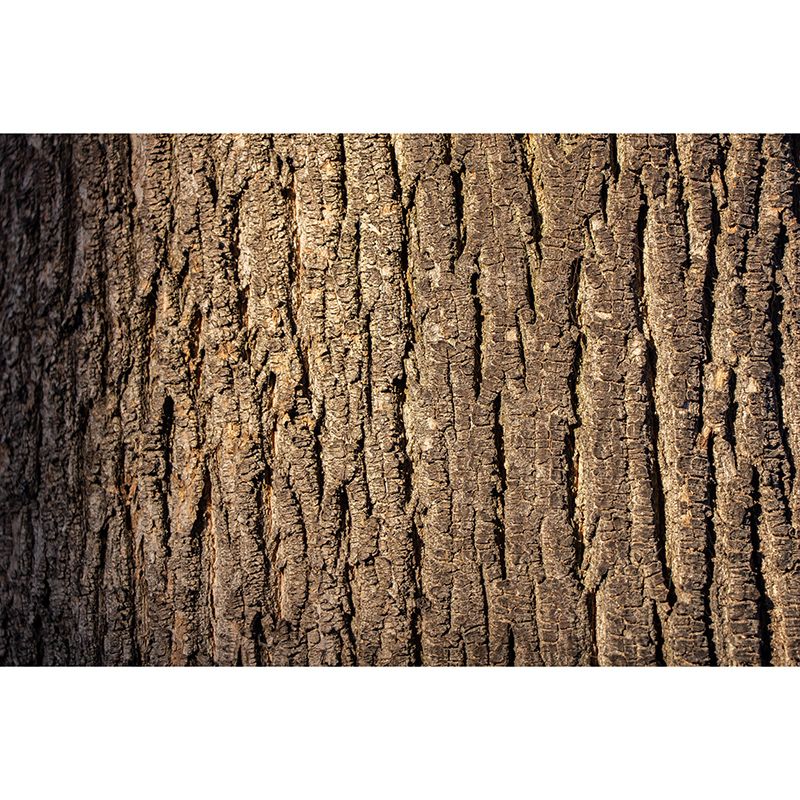 Wooden Style Environment Friendly Mural Industrial Style Wood Texture Mural for Bedroom