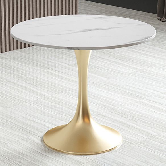Glam Sintered Stone Dining Room Set with Gold Leg Dining Furniture for Home Use
