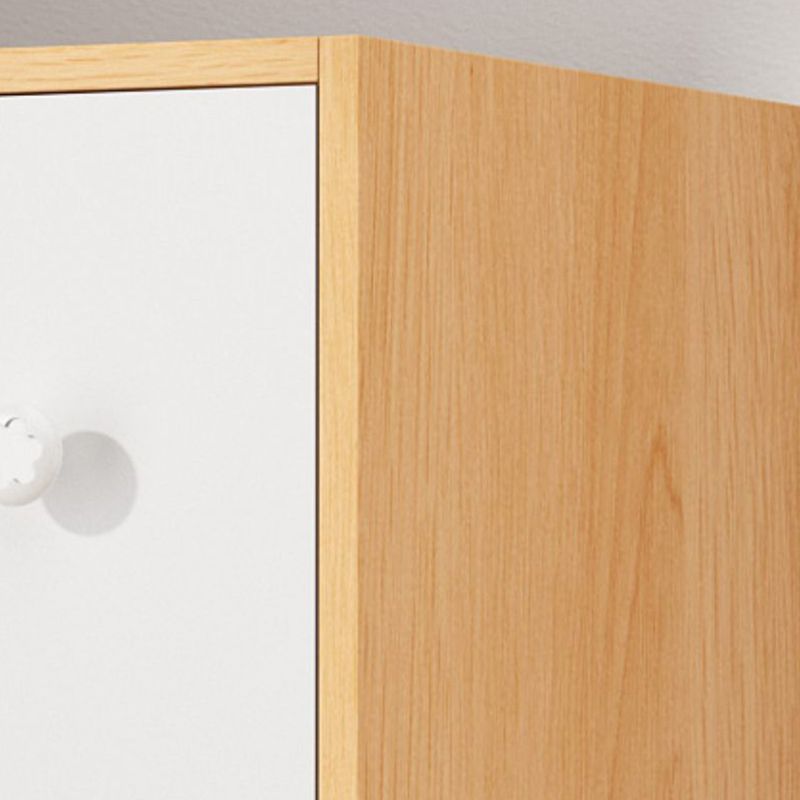 Modern Accent Cabinet Standard No Distressing Wood Cabinet with Doors