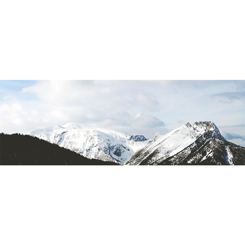 Photography Snow Mountain Wall Mural Big Wall Covering for Accent Wall, Custom Size, White