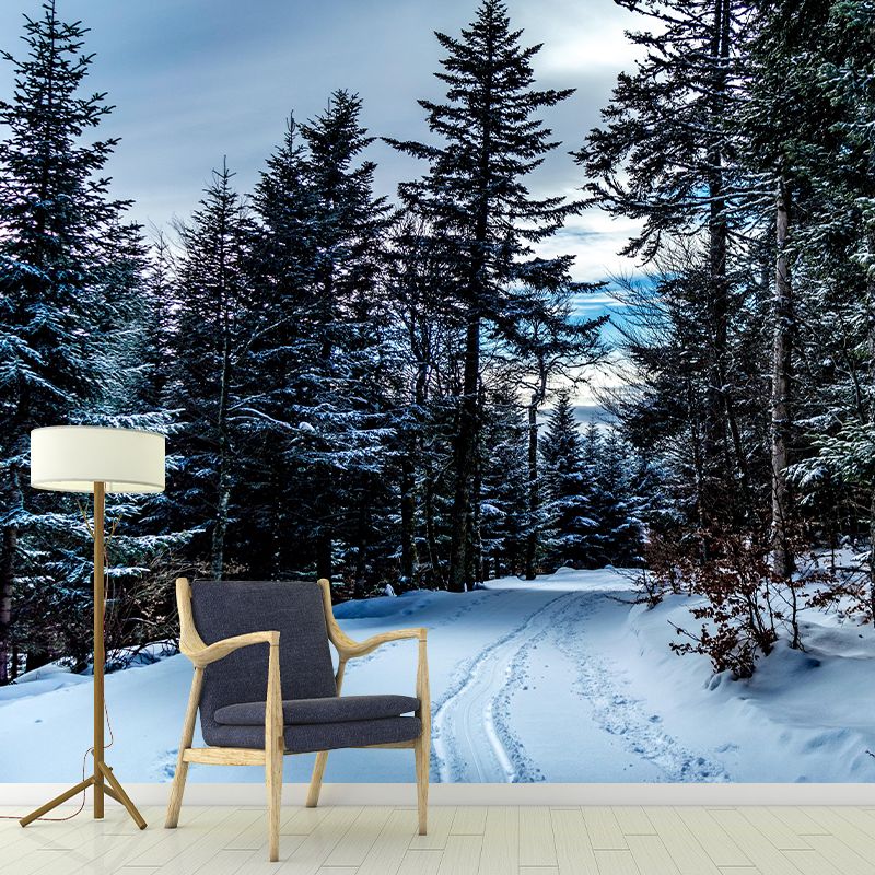 Horizontal Photography Forest Landscapes Mural Eco-friendly Wallpaper for Bedroom