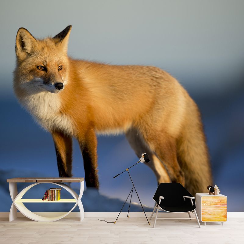 Photography Mural Wall Decor Red Fox Mildew Resistant Living Room Wall Mural Wall Art