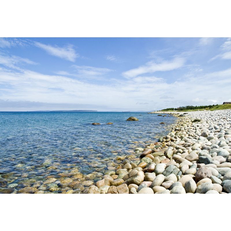 Tropical Sea Pebble Bay Mural Blue-White Moisture Resistant Wall Decor for Bedroom