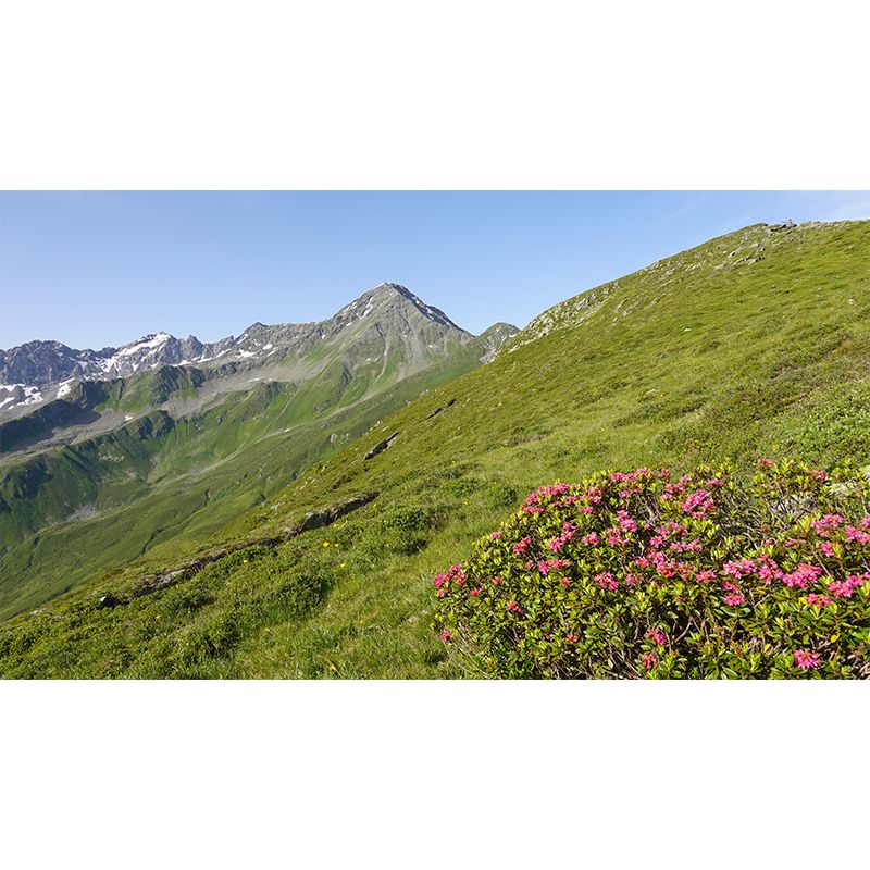 Mountains Wall Mural Decal Stain Resistant Wall Covering for Decoration