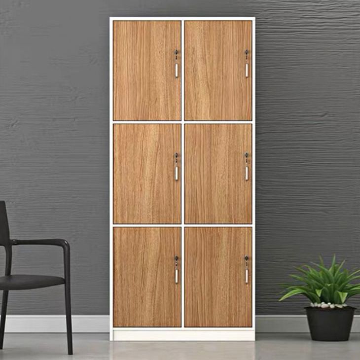 Natural Finish Indoor Cabinet Contemporary Storage Cabinet with Hinged Door