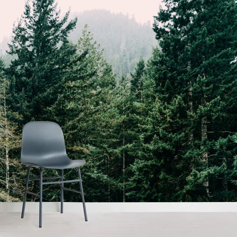 Big Pine Forest Scenery Mural Indoor Open Field in Front of Cabin Wall Art in Yellow-Green, Washable