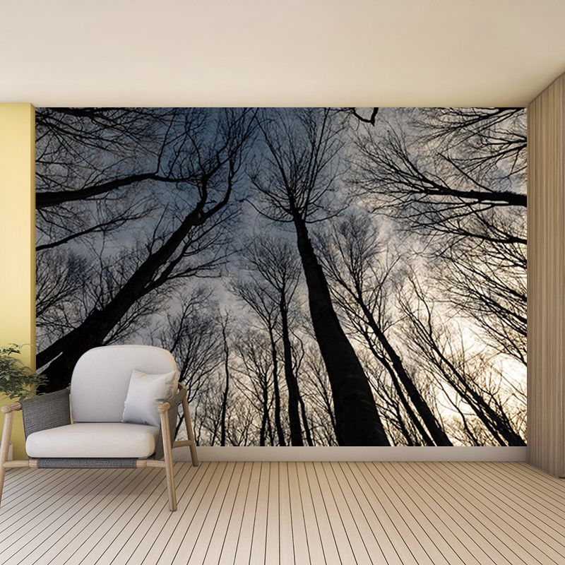 Mildew Resistant Forest Mural Photography Living Room Wall Mural