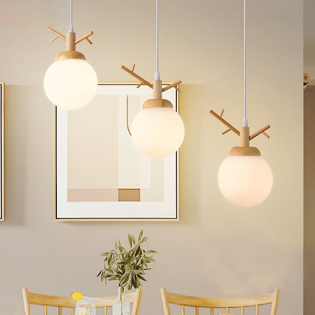 Globe Glass Hanging Lamp in moderne eenvoud houten hanglamp voor eetkamer