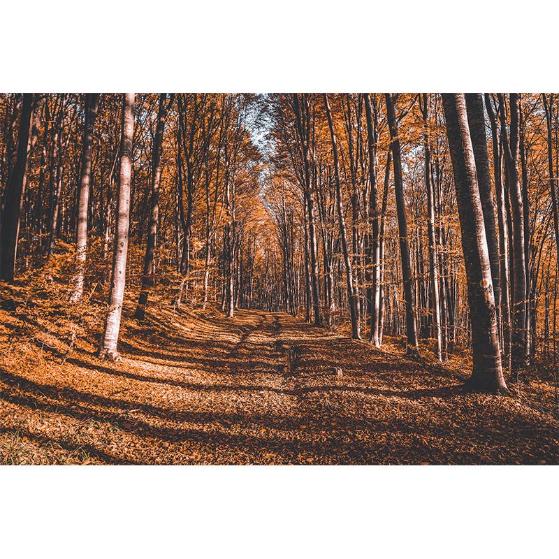 Contemporary Forest Landscape Mural Wall Covering for Bedroom, Waterproofing