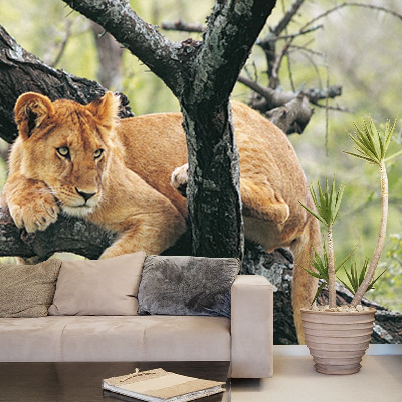 Teenage Lion in Tree Mural Wallpaper Modern Water-proof Living Room Wall Covering, Custom Made
