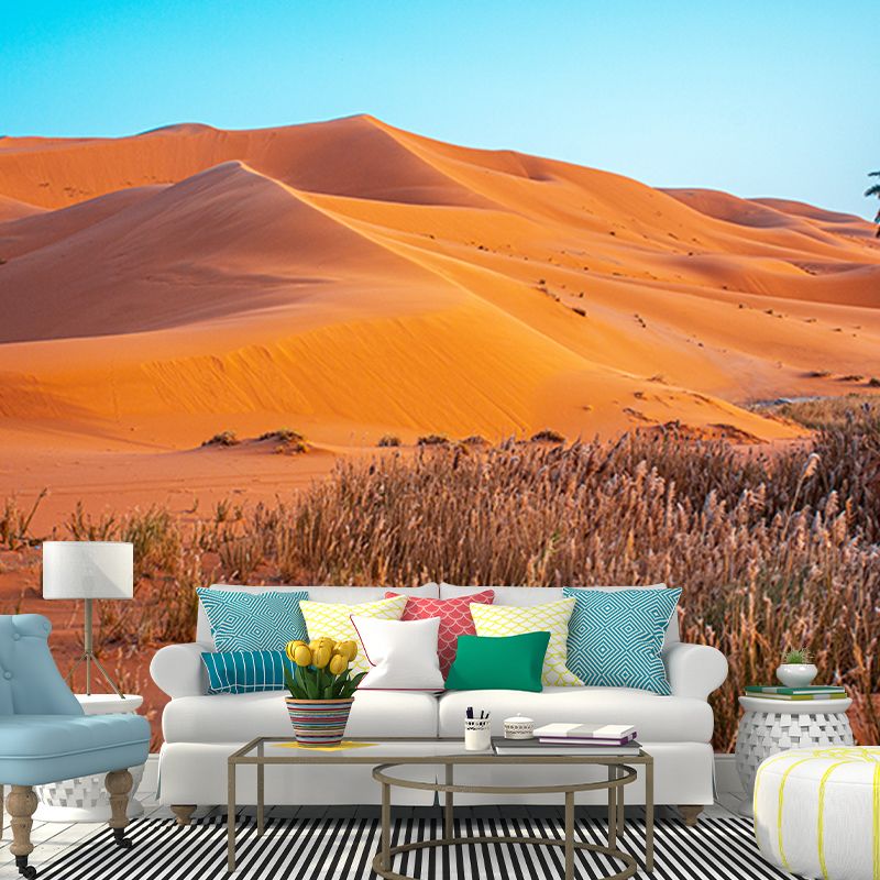 Dry Desert Wall Mural Decal for Reading Room, Personalized Size Available