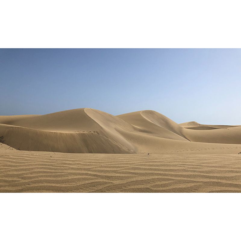 Tropical Desert Wall Murals Contemporary Photography Style Wall Art for Bedroom