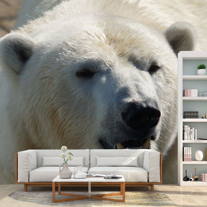 Polar Bear Animal House Wall Mural for Living Room Bedroom, Personalized Size