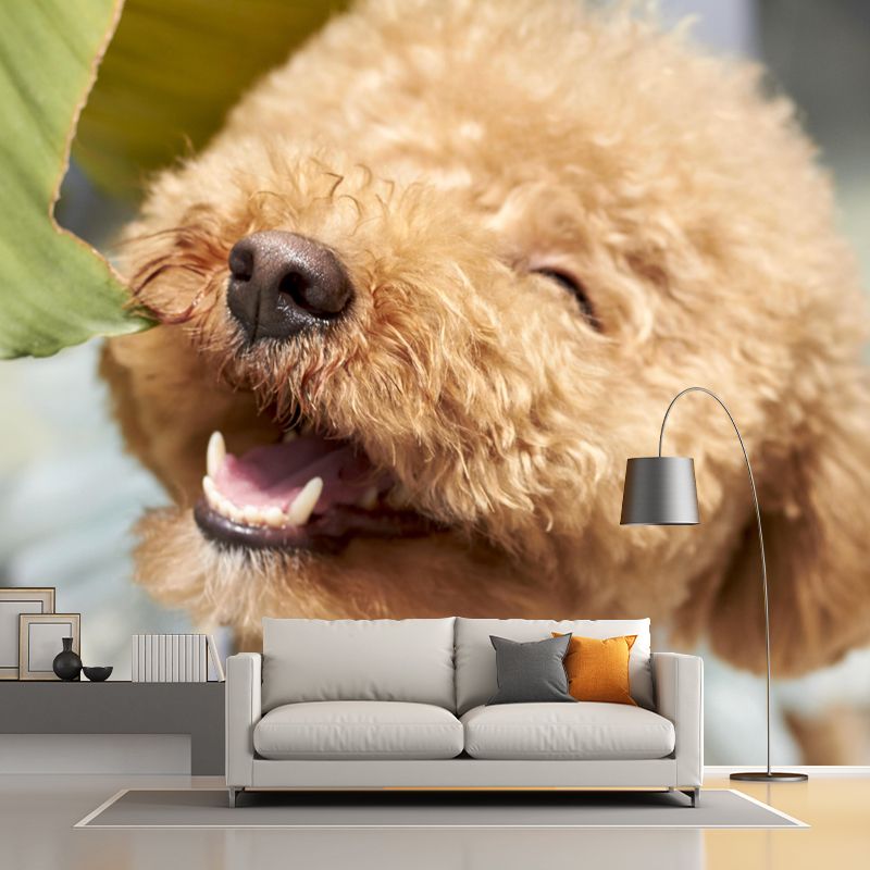 Lovely Poodle Mural Wall Decor Living Room Wall Covering for Decoration