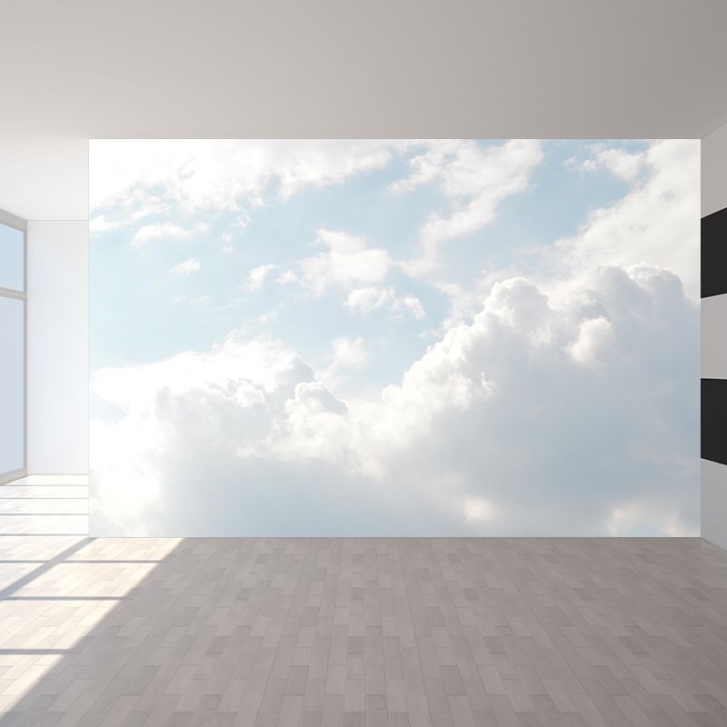 Photography Modern Style Cloud Mural Decal Mildew Resistant for Dining Room