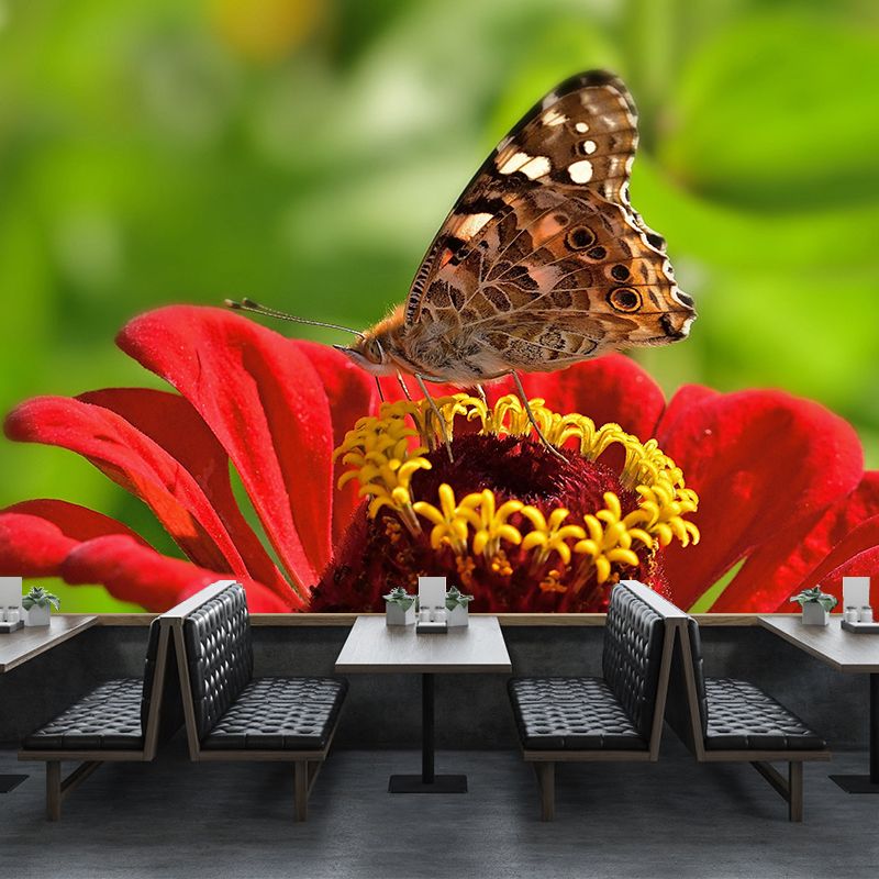 Environment Friendly Mural with Butterfly Painting Mildew Resistant Wallpaper Home Decor