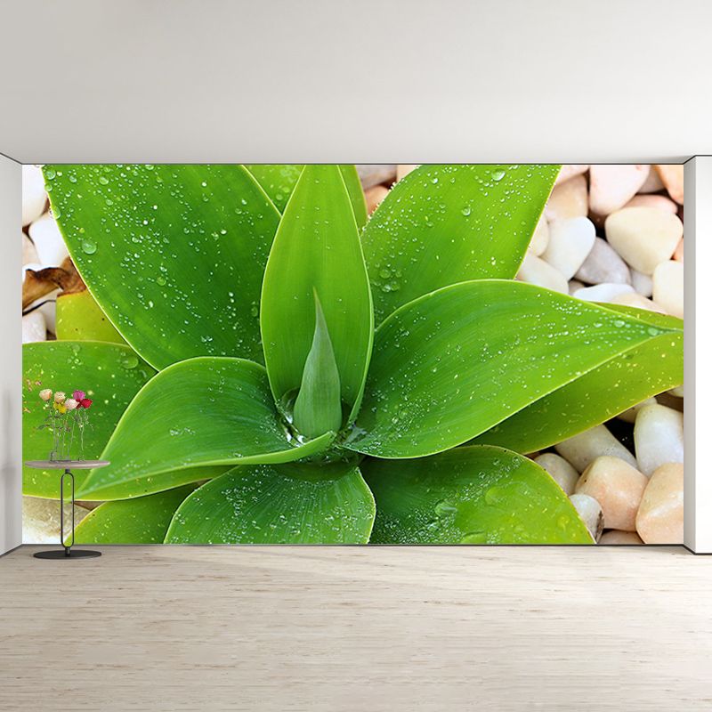 Green Plants Wall Murals Tropics Moisture Resistant Wall Covering for Living Room