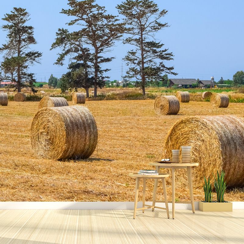 Customized Straw Bale Mural Environment Friendly for Sleeping Room Bedroom