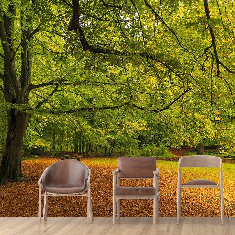 Contemporary Moisture Resistant Forest Mural Wall Covering Soft Color Wall Decor