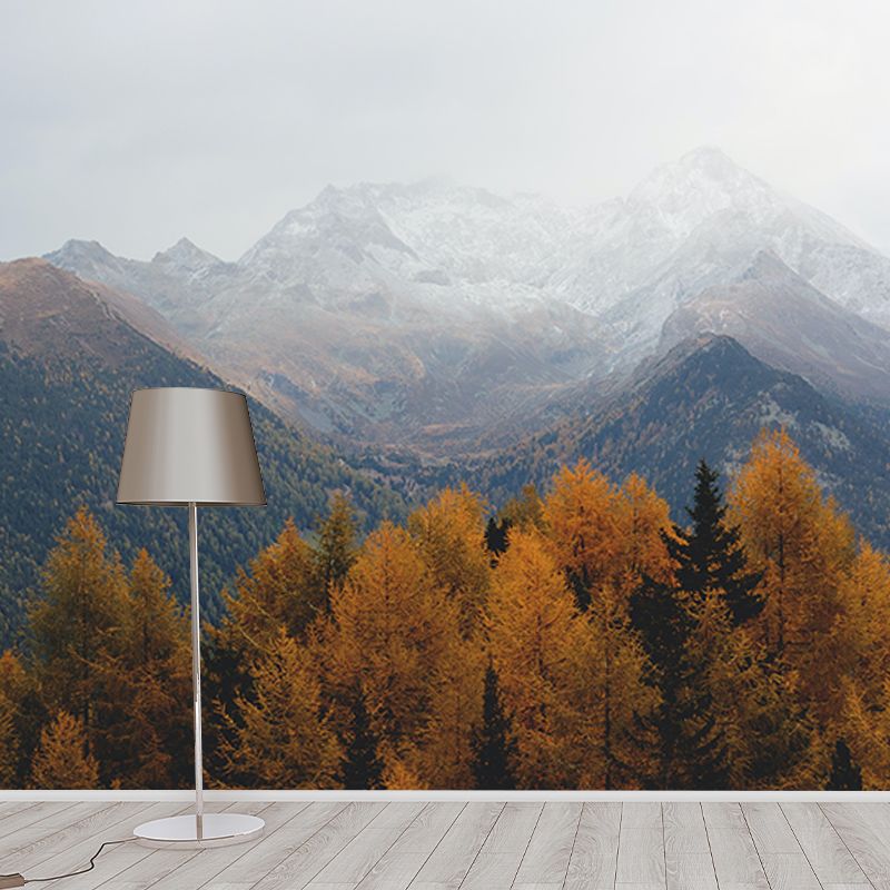 Forest Washable Stain Resistant Wall Mural Wallpaper Sitting Room Wall Mural