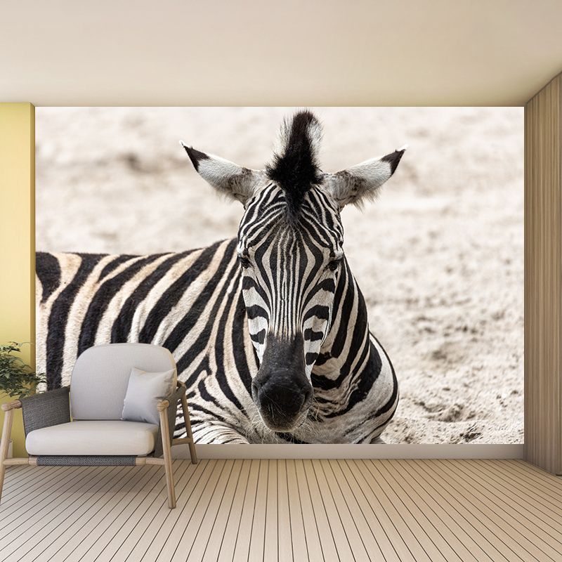 Black and White Zebra Mural for Sleeping Room Waterproof, Made to Measure