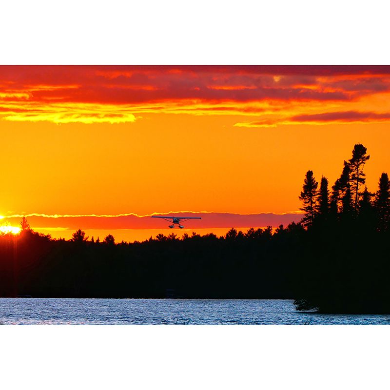 Airplane at Dusk Mural Wallpaper for Living Room Water Resistant, Made to Measure