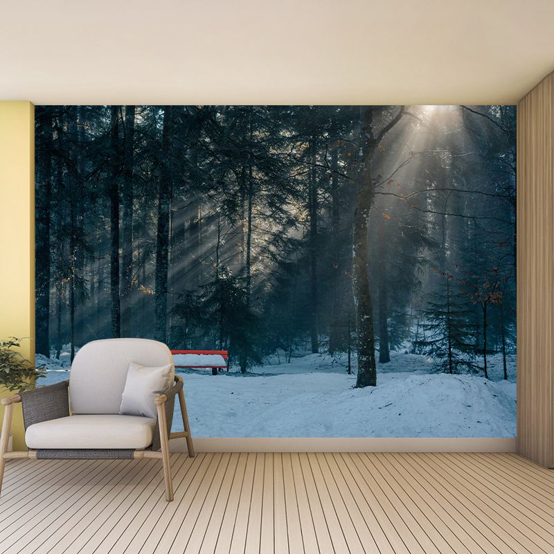 Natural Landscape Wall Mural Contemporary Decorative Living Room Wall Art