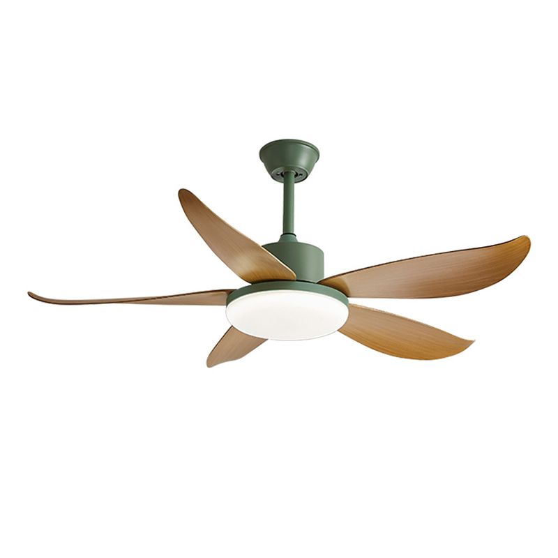 Nordic Ceiling Fan Lamp Fixture Colorful LED Ceiling Flush Mount for Kids' Room