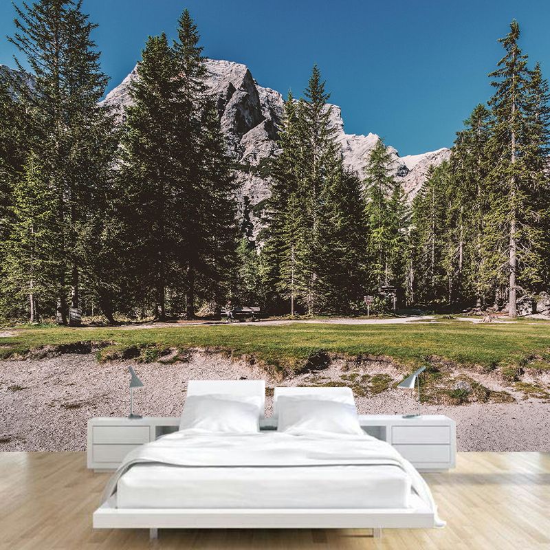 Nature Style Forest Wall Mural Wallpaper Photography Mildew Resistant for Home