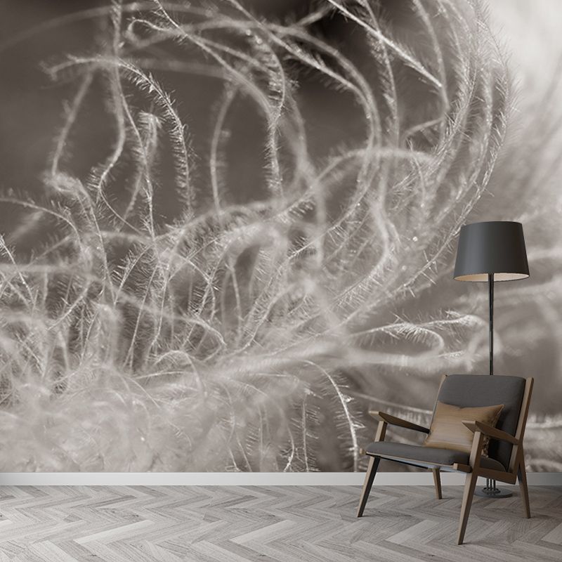 Washable Illustration Mural Wallpaper Feather Indoor Wall Mural