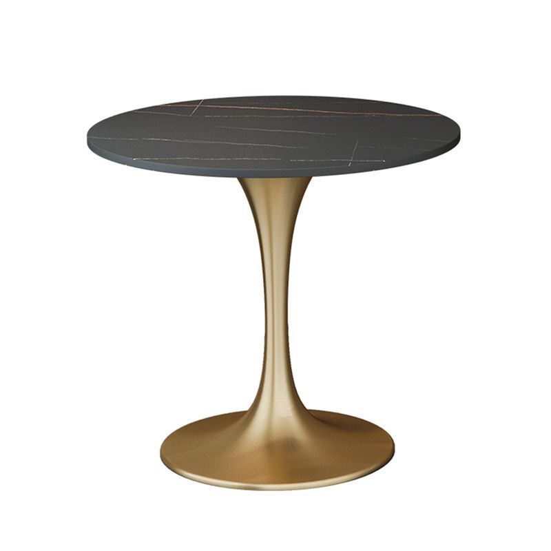 Metal Traditional Luxury Round Table Sintered Stone Table with Tulip Base