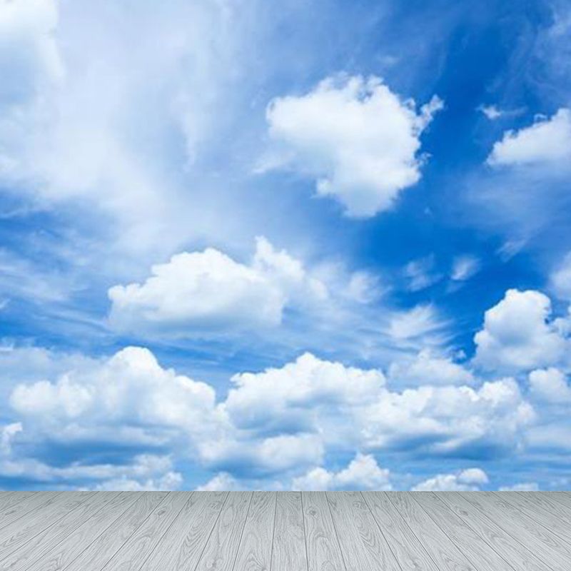 Full Size Illustration Modern Mural Decal with Sky Scene in Soft Color, Made to Measure